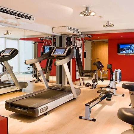 Hotel Pullman Toulouse Airport 4*