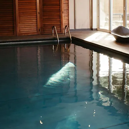 Hotel Pullman Toulouse Airport