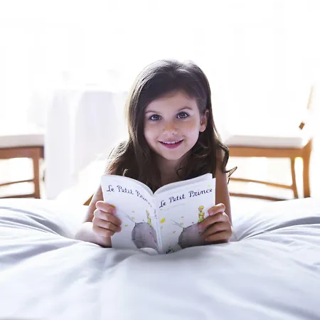 Pullman Toulouse 호텔