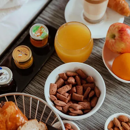 호텔 Pullman Toulouse 블라냑