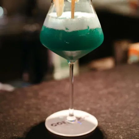 Pullman Toulouse 4* 블라냑