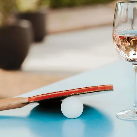 Pullman Toulouse 블라냑