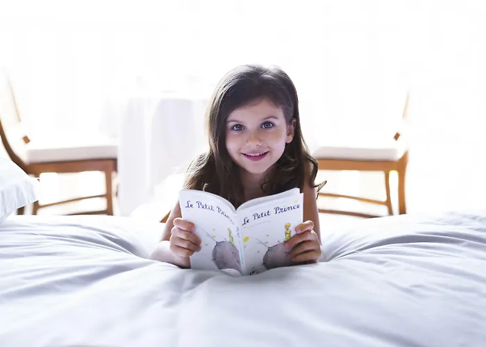 Pullman Toulouse Otel