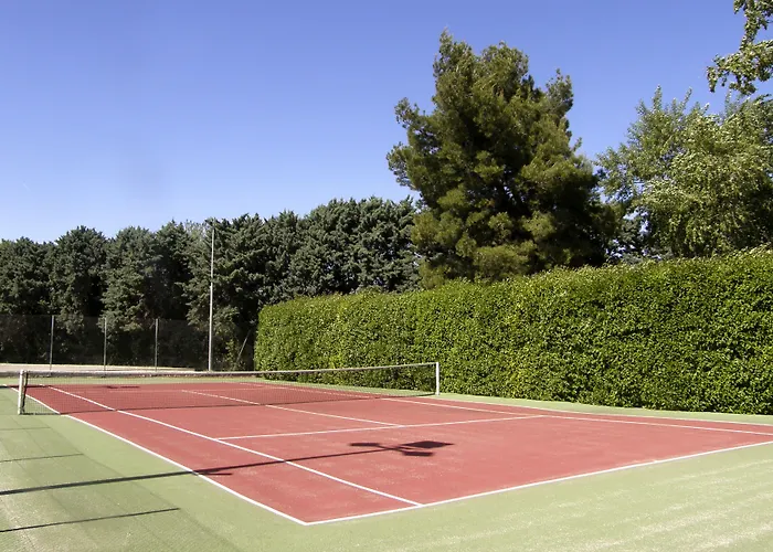 Отель Pullman Toulouse Бланьяк