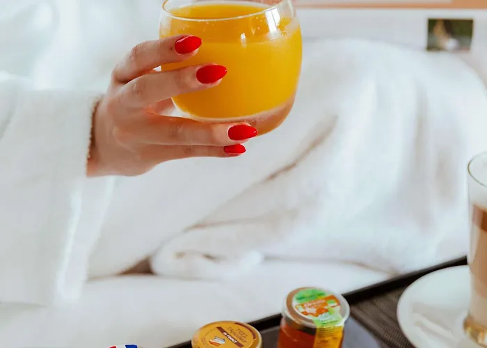 Pullman Toulouse Otel 4*