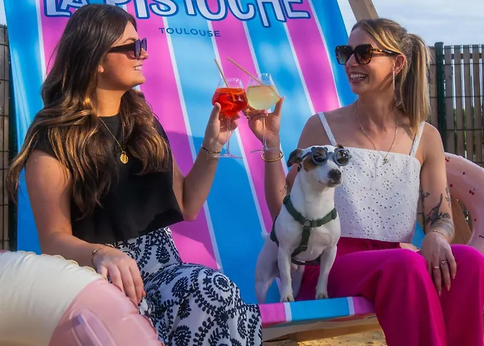 Pullman Toulouse Otel